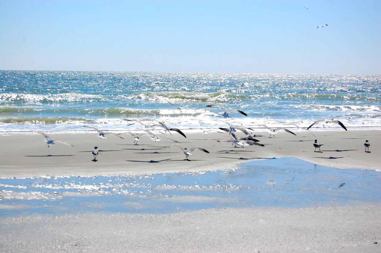 Mariners Cove 227 C Lejlighed Myrtle Beach Eksteriør billede